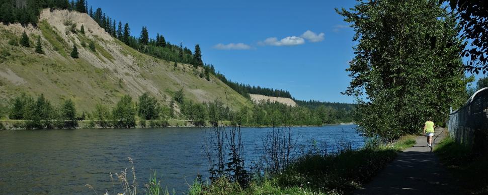 Cottonwood trail